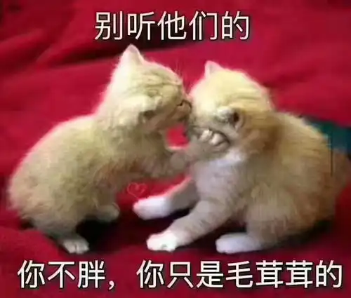 遇见你,或幸或不幸