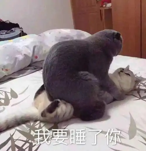 如果将你所玩的某个游戏改编成恋爱养成游戏会是怎么样