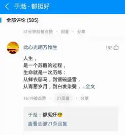 偶像包袱不存在于湉登酷狗星乐坊大玩都挺好表情包