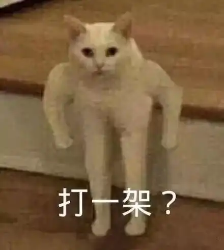 三亚会议你因一时冲动,干过什么沙雕的事