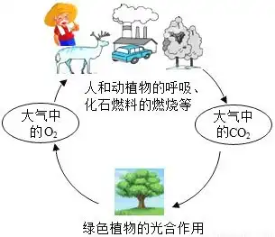 阅读下面两条信息.回答问题.信息一金是一种广受欢迎的贵金属.有金黄色金属光泽.密度大.延展性好.而且金非常稳定.与大多数物质都不发生反应.常用来加工首饰.信息二
