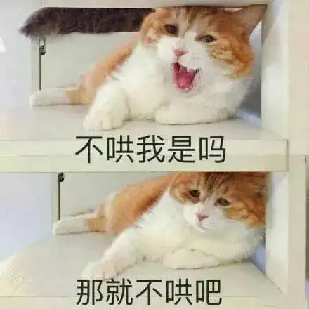 今天的天气预报,只有三句话
