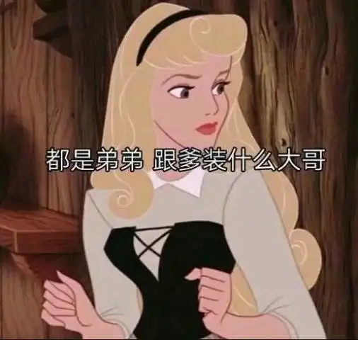 迪士尼公主恶搞图