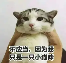7.14喵星人笑星救地球真爱铲屎官
