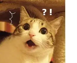 这个喵叫什么名字求表情包