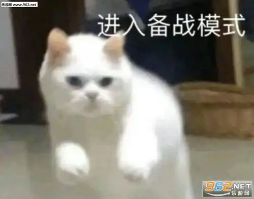 你们年轻人就是毛躁图片头脑发热猫咪表情包下载乐游网游戏下载