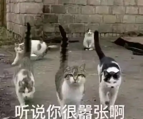 科密绝杀科密扣篮又tm咯噔了最嚣张的还是这个光头佬啊