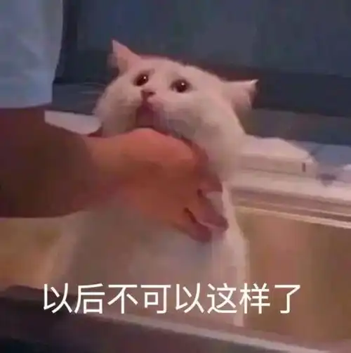表情包老子困了,快和老子说小宝贝晚安安