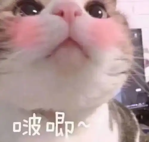 小伢儿周末带上妈妈来海普诺凯1897童话节吧
