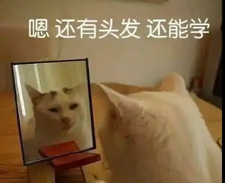 秃然遇见他,陪我春秋和冬夏
