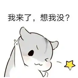 令人喷饭国内山寨无数的美国潮牌,原来就是个高中校服