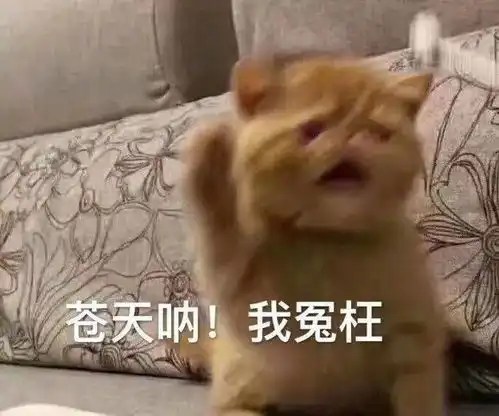 消防车被堵路上,大爷出手指挥交通,网友你大爷还是你大爷