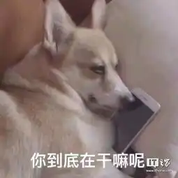 家友福利之如何让女朋友倒追我的吸引篇