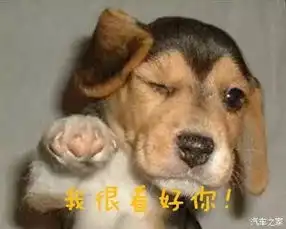 我们来聊聊新劲畅与摩羯座的性格与情怀_恩施州鑫道汽车城店新闻资讯-汽车之家