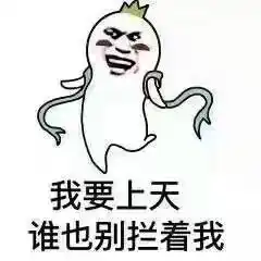 六度槿34
