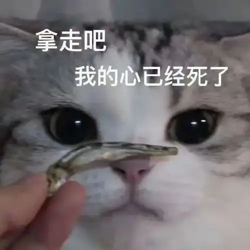 陪你一起长大热播,刘涛真实演绎职场女强人的育儿生活