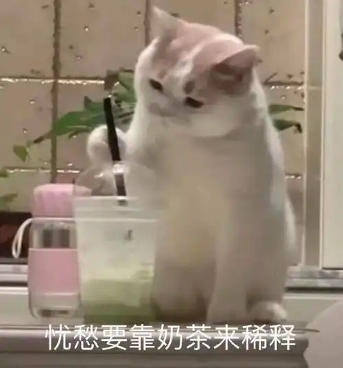 记录自己第一次正式的面试