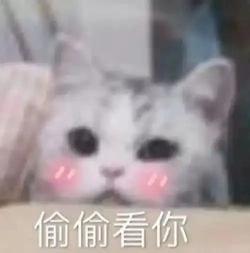 可以带带我吗表情包今日头条