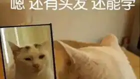 创意楼梯大学生职业生涯规划ppt模板