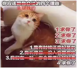 今日份快乐如何一句话取悦留学生