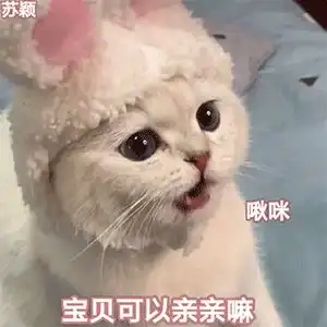 表情好像所有的美好都发生在夏天
