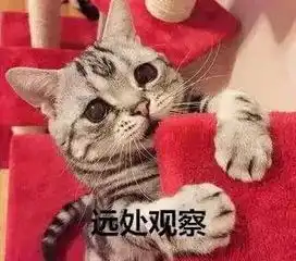 免费莲花之令峡谷之巅资格再次开启