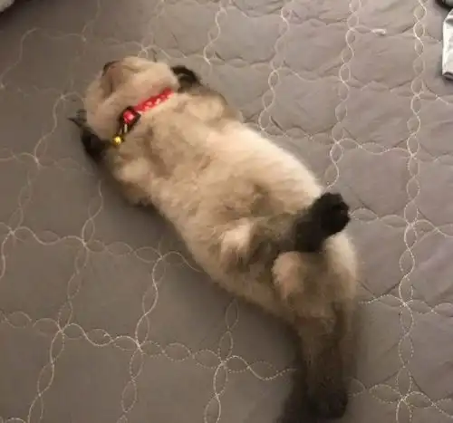 搞笑gif图有个当过兵的老爸,真的是太酷了,飞一般的感觉,这比赛准赢了