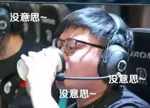 英雄联盟s8小组赛第二比赛日,rng战胜gen.g有哪些好玩的表情包