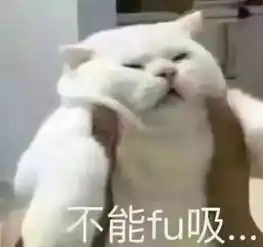 大荒晚安黄帝附体也带不动这能忍吗