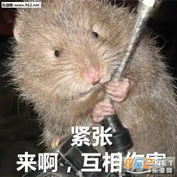 竹鼠表情包我没有中暑我没有抑郁竹鼠照片表情包下载乐游网游戏下载