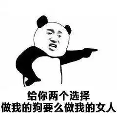 最近很火的表情包选一个,做我女朋友或者一起去爬山