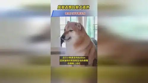 废柴表情包柴犬离世,希望大家不要悲伤