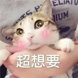 表情包我要一个亲亲