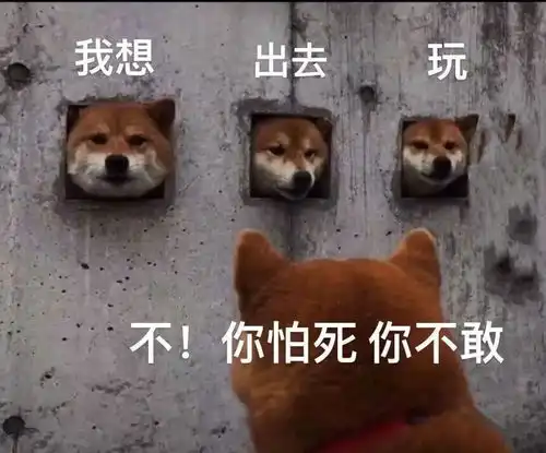 日常征集宅在家的这些天,你的日常是