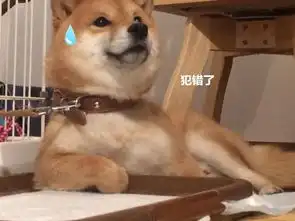 男子沉迷训狗,柴犬的表情却渐渐魔性再骂我就要变脸了