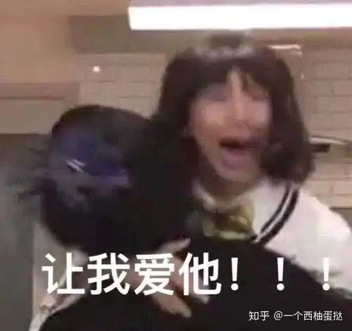 最喜欢防弹少年团的那首歌