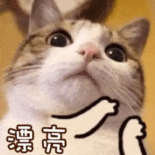 夸女人漂亮表情包哇,好美,我都拍下来了
