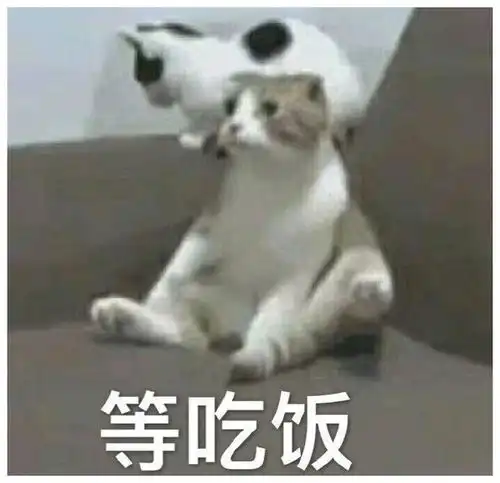 人家的那才叫腿,你这只能算是个交通工具而已
