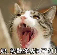 大学开学季千禧宝宝要学会独立成长啦