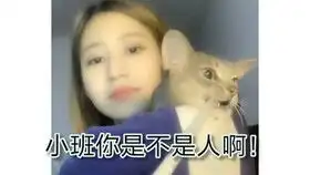 小猫咪第一次看见玩具鼠,竟然抱着小老鼠发呆,真萌