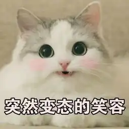 好消息广州街坊可以在飞机上用手机了南航厦航等5家航空已开放,部分有wifi
