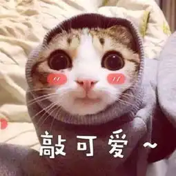 招生食力无限,相约九月