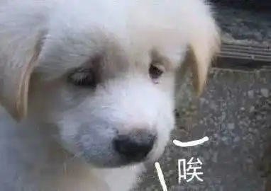 高价收游戏账号慎可能是骗局
