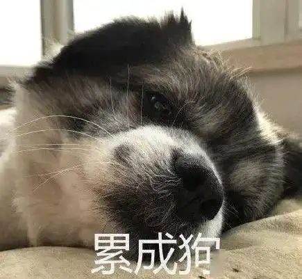 选择高校,地址位置为什么很重要