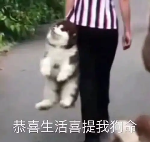 贫穷的你,十一如何才能拥有千人点赞的朋友圈