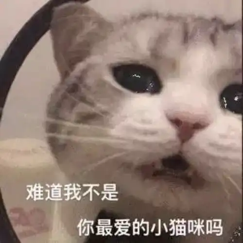 可爱又沙雕适合跟对象聊天用的表情包
