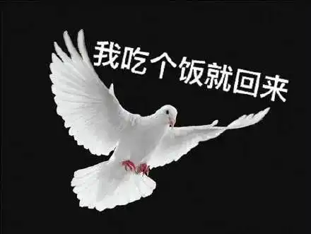 鸽子表情包第二弹,放别人鸽子真快乐,哈哈