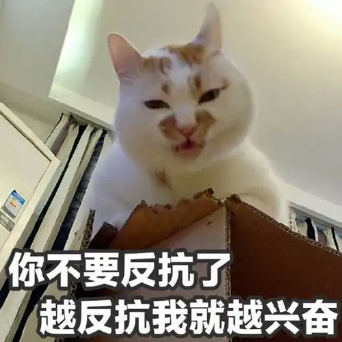 有哪些堪称有毒的沙雕朋友圈文案