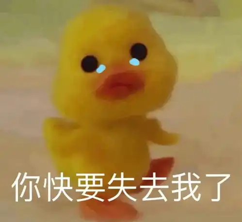 沙雕表情包又更新了