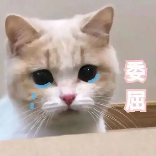 又要下雨了还是连续降雨